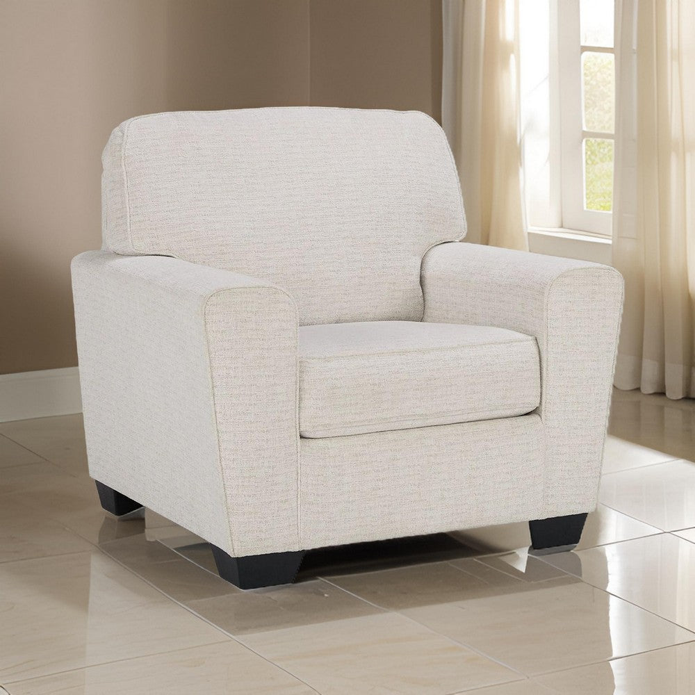 Caten 39 Inch Armchair Transitional Polyester Upholstery Snowy White By Casagear Home BM311639