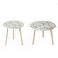 Byle 16 20 Inch Side Table Set of 2 Floral Design Cherry Blossom White By Casagear Home BM311670