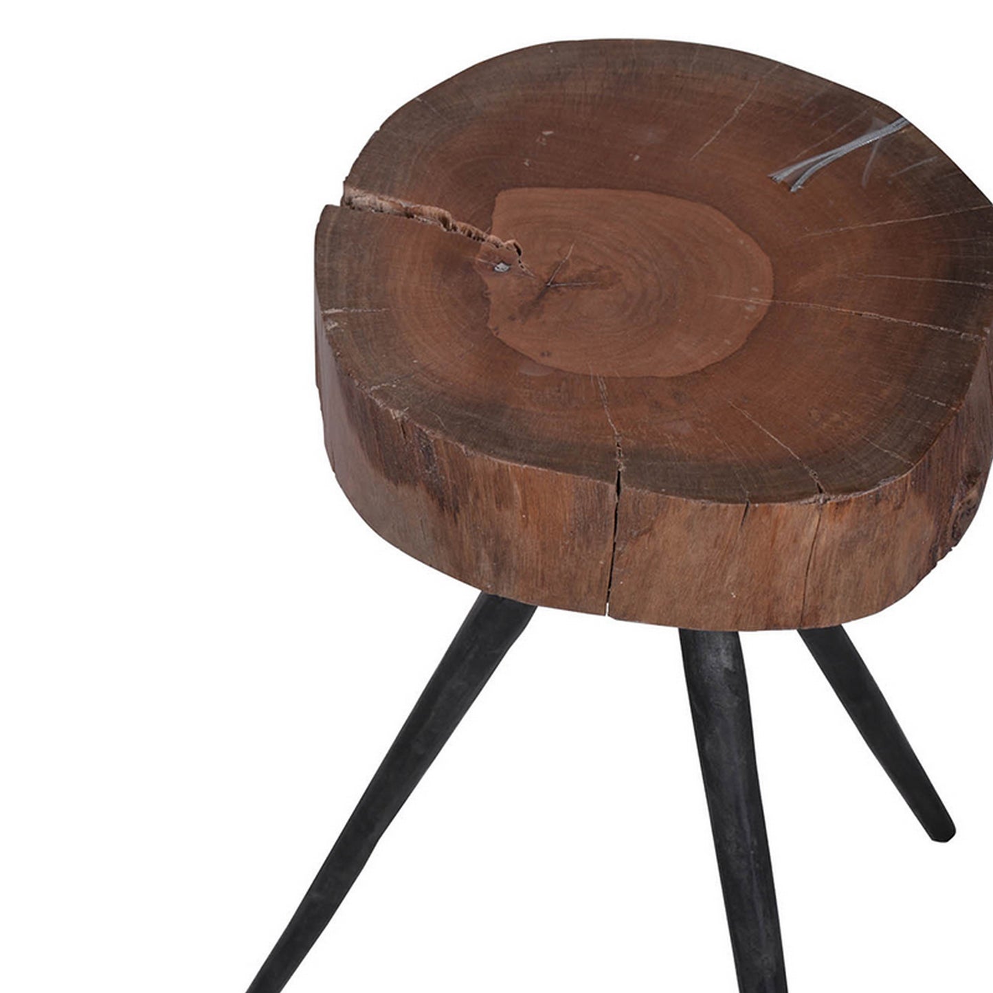 24 Inch Side End Table Round Mango Wood Brown Tree Top Black Metal Tripod By Casagear Home BM312099