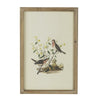 16 x 24 Bird Framed Wall Art Print Set of 4 Wood Vintage Gray and White By Casagear Home BM312751