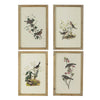 16 x 24 Bird Framed Wall Art Print Set of 4 Wood Vintage Gray and White By Casagear Home BM312751