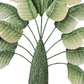 32 Inch Metal Banana Leaf 3D Wall Decoration Green and White Tones By Casagear Home BM312793