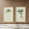 24 x 32 Framed Art Print Set of 2 Tree Design Fir Wood Green Brown By Casagear Home BM312838