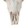 19 Inch Realistic Faux Steer Head Wall Decor Cow Skull White Brown Finish By Casagear Home BM312849