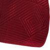 Ahab 50 x 60 Inch Quilted Throw Blanket with Fill Dutch Velvet Face Red By Casagear Home BM313305