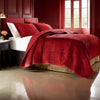 Ahab 2 Piece Twin Quilt Set with 1 Pillow Sham, Dutch Velvet Face, Red By Casagear Home