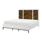 Jem Queen Size Bed Tall Headboard 2 USB Ports Brown White Acacia Veneer By Casagear Home BM313346