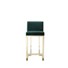 Boly 26 Inch Counter Stool Chair Cushioned Green Velvet Gold Cantilever By Casagear Home BM313379