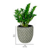 Wiki 15 Inch Self Watering Planter Handwoven Rattan Wicker Gray By Casagear Home BM314470