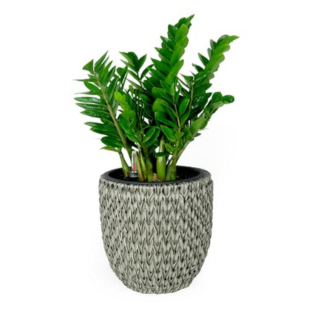 Wiki 15 Inch Self Watering Planter Handwoven Rattan Wicker Gray By Casagear Home BM314470