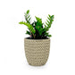 Wiki 15 Inch Self Watering Planter, Handwoven Rattan Wicker, Beige By Casagear Home