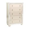 Dem 56 Inch Tall Dresser Chest with 2 Drawers, Platinum Trim, Silver Wood By Casagear Home