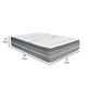 Dani 14 Inch California King Mattress Pocket Coil Hybrid Foam Layers By Casagear Home BM314710