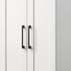 Lyn 71 Inch Storage Cabinet Wardrobe Framed Panel Doors White Solid Wood By Casagear Home BM314888