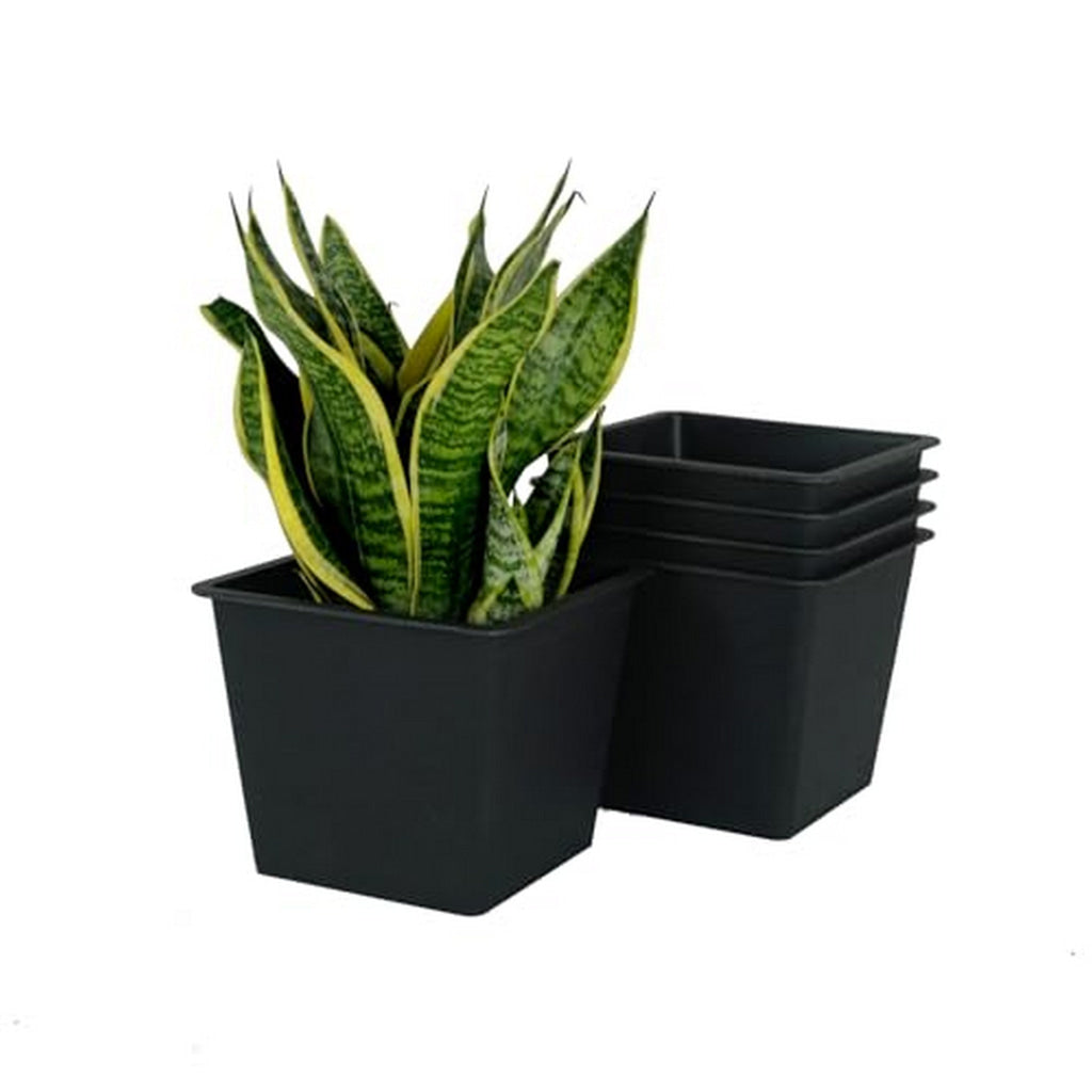 Kiti 6 Inch Set of 5 Square Nursery Planter Pots with Drainage Black By Casagear Home BM315156