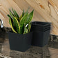 Kiti 6 Inch Set of 5 Square Nursery Planter Pots with Drainage Black By Casagear Home BM315156