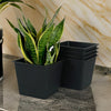 Kiti 8 Inch Set of 5 Square Nursery Planter Pots with Drainage Black By Casagear Home BM315157