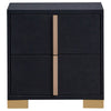 Dex 22 Inch Nightstand 2 Drawers with Long Vertical Gold Handles Black By Casagear Home BM315289