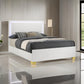 Dex Platform Queen Bed, Panel LED Headboard, White Wood Melamine Finish By Casagear Home