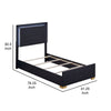 Dex Twin Size Bed with LED Framed Headboard Black Wood Finish Gold Legs By Casagear Home BM315322