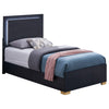 Dex Twin Size Bed with LED Framed Headboard Black Wood Finish Gold Legs By Casagear Home BM315322