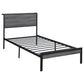 Rick Twin Size Platform Bed 1 Shelf Retro Style Black Metal Frame Gray By Casagear Home BM315332