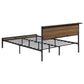 Rick Full Size Platform Bed 1 Shelf Retro Style Black Metal Frame Brown By Casagear Home BM315333