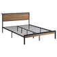 Rick Full Size Platform Bed, 1 Shelf, Retro Style, Black Metal Frame, Brown By Casagear Home