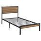 Rick Twin Size Platform Bed, 1 Shelf, Retro Style, Brown Metal Frame, Brown By Casagear Home