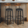 30 Inch Barstool Chair Set of 2, Brown Wood Panel Back, Round Black Steel By Casagear Home