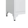 Tira 35 Inch Storage Cabinet with Lock Shelves Cutout Handle Gray Metal By Casagear Home BM316263