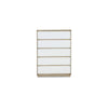 Ike 50 Inch Tall Dresser Chest Acrylic Fronts 5 Gliding Drawers White By Casagear Home BM316599