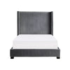 Leny California King Bed Dark Gray Velvet Upholstery Shelter Headboard By Casagear Home BM316821