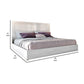 Cid Ryle Full Size Bed Tall Headboard Low Profile Glossy White Finish By Casagear Home BM317213