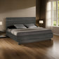 Noe Kamp King Bed with Tall Panel Headboard Low Profile Gray Elm Veneer By Casagear Home BM317214