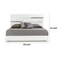 Cona Queen Size Platform Bed LED Light with Silver Accents White Finish By Casagear Home BM317527