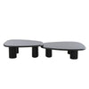 Cid Sami Coffee Table Set of 2 Freeform Shape Black Solid Wood Frame By Casagear Home BM317574