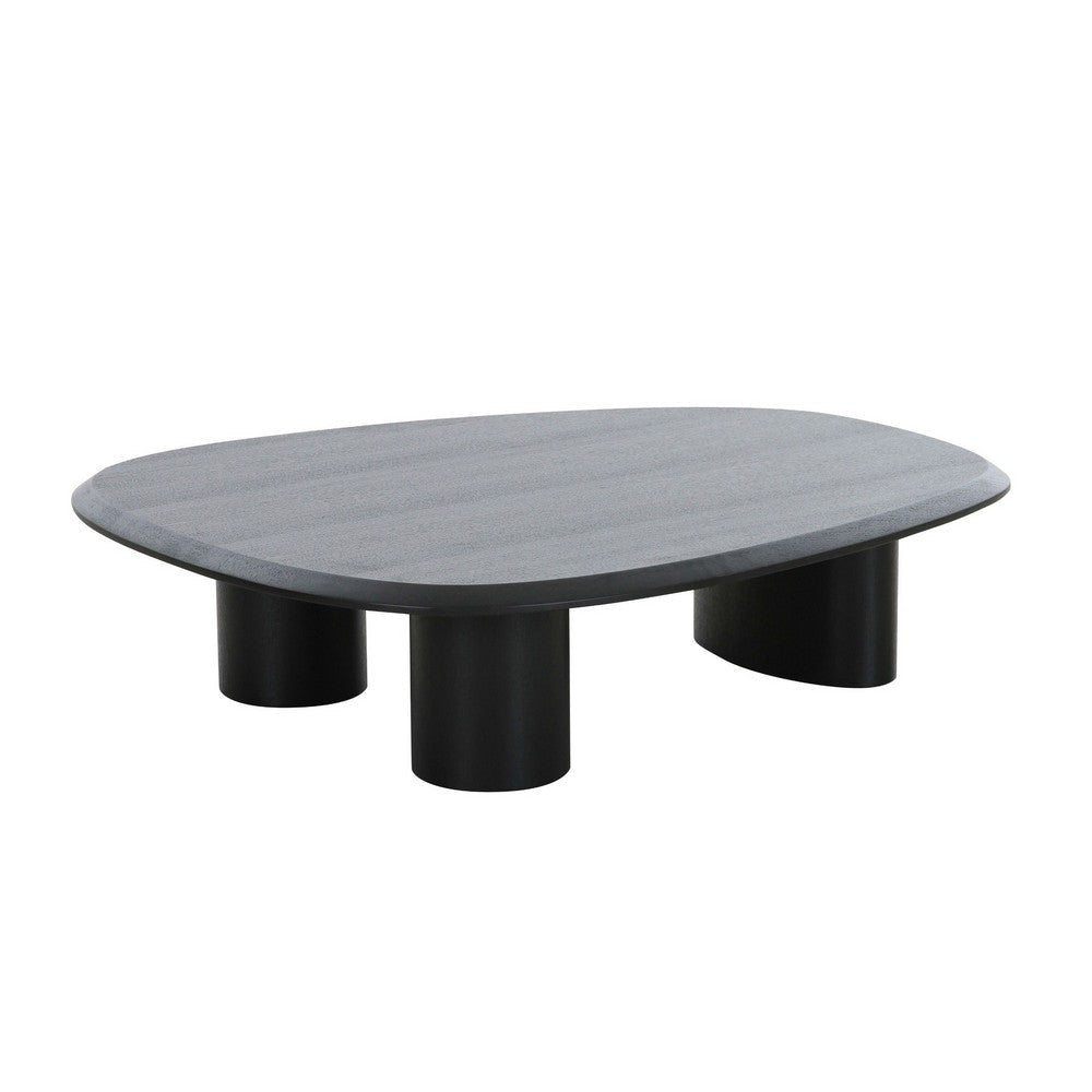 Cid Sami Coffee Table Set of 2 Freeform Shape Black Solid Wood Frame By Casagear Home BM317574