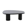 Cid Sami Coffee Table Set of 2 Freeform Shape Black Solid Wood Frame By Casagear Home BM317574