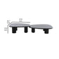 Cid Sami Coffee Table Set of 2 Freeform Shape Black Solid Wood Frame By Casagear Home BM317574