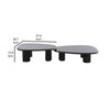 Cid Sami Coffee Table Set of 2 Freeform Shape Black Solid Wood Frame By Casagear Home BM317574