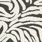 Thom 5 x 7 Medium Area Rug Bold Zebra Print Black and White Polyester By Casagear Home BM318272