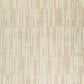 Stebin 5 x 7 Area Rug Shag Style 15mm Pile Cream Polyester Washable By Casagear Home BM318329