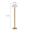 Sein 62 Inch Floor Lamp Double Pull Chain Switch Glass Dome Shade Brass By Casagear Home BM318380