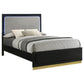 Caer Queen Size Bed LED Panel Tall Headboard Gray Upholstery Black Okume By Casagear Home BM318731