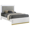 Caer Queen Size Bed LED Panel Tall Headboard Gray Upholstery White Okume By Casagear Home BM318734