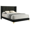 Dle Queen Size Bed Wingback Headboard Gold Bracket Feet Black Upholstery By Casagear Home BM318854