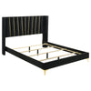 Dle King Size Bed, Wingback Headboard, Gold Bracket Feet, Black Upholstery By Casagear Home