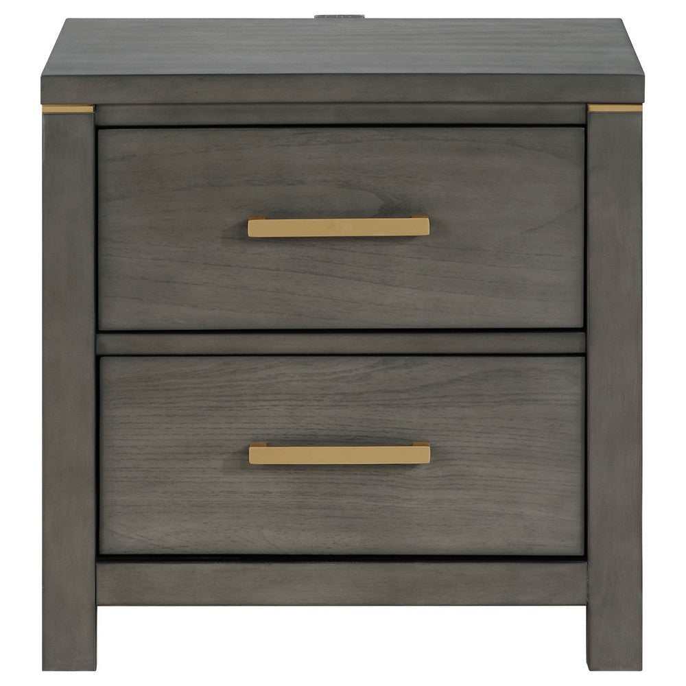 Ren Nightstand 2 Drawers Brass Tone Accents Bar Handles Dark Gray By Casagear Home BM318887