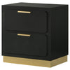 Caer Nightstand 2 Drawers Gold Accent Recessed Base Bar Handles Black By Casagear Home BM318890